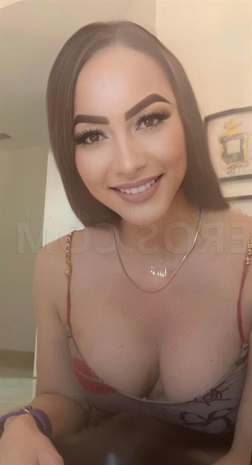 Alajily