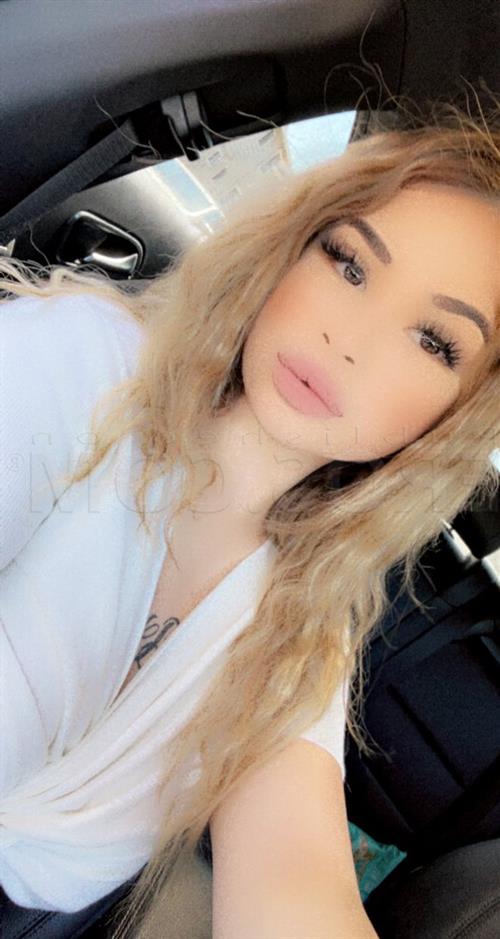 Mayanett 18, Sverige